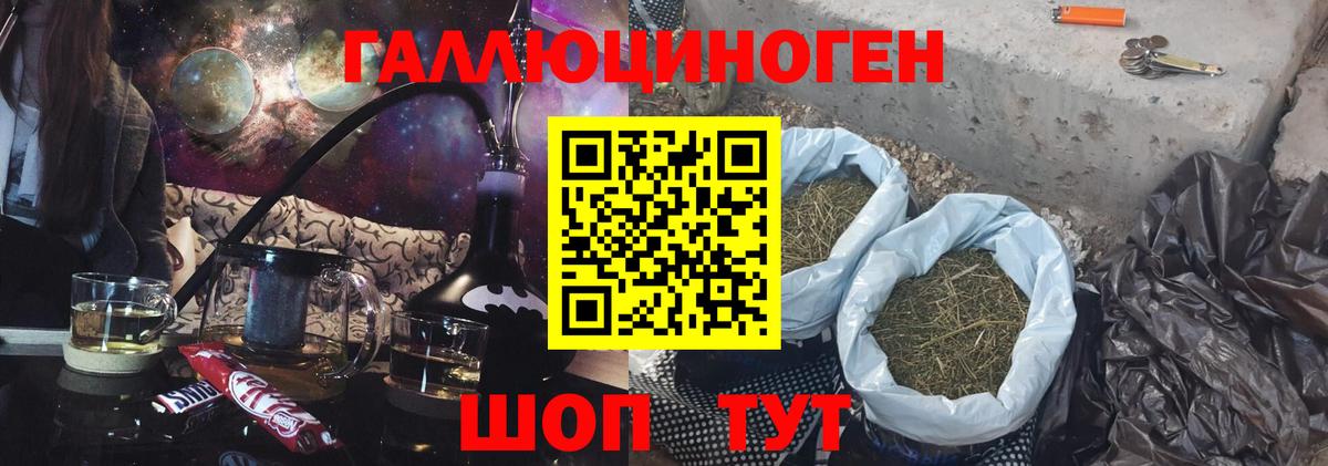 Псилоцибиновые грибы Psilocybe Калуга
