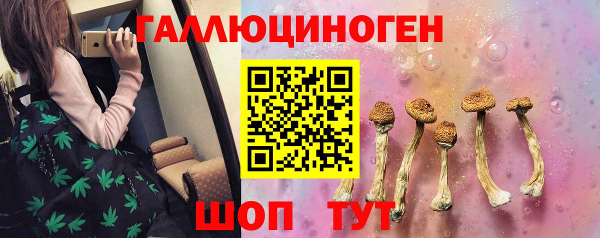 Псилоцибиновые грибы GOLDEN TEACHER  Вход с VPN  Калуга  Галлюциногенные грибы MAGIC MUSHROOMS 
